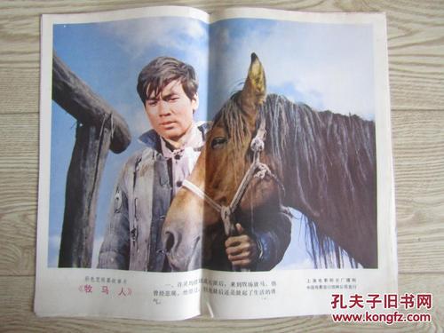 假的英语四级级多少钱